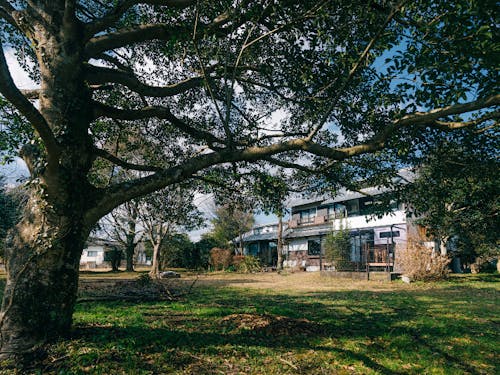 DIYと宿泊の舞台「無駄イバーハウス」