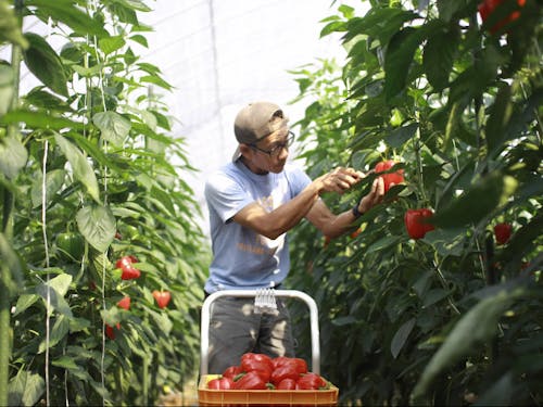 農ある暮らし、就農相談もお寄せください