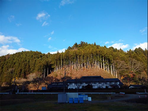 緑が深い「農村地域の山々」