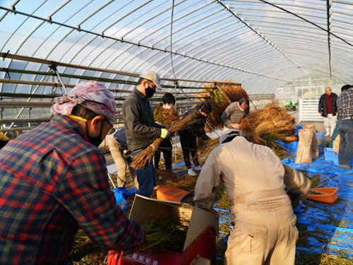 【出演団体】伊野やって未来(みら)こい!ネット(出雲市)