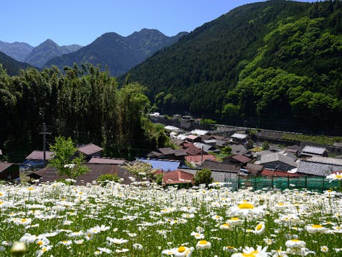 集落とそこから見える山々の風景