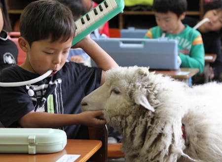 教育環境を求める子育て世代の移住も多い