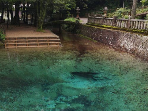 不思議なほど美しい透き通ったブルーの水の弁天池