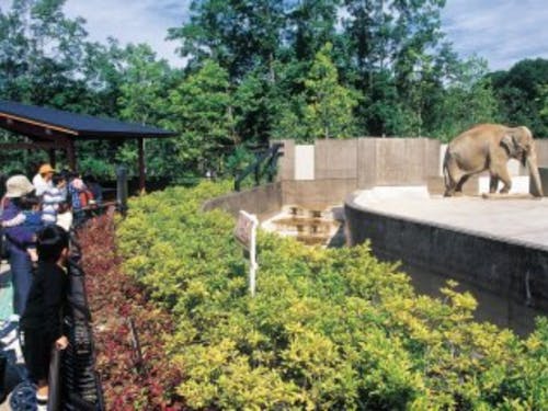 お出かけスポットも