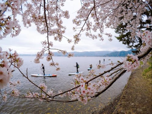 季節ごとの自然の遊び方が上手!