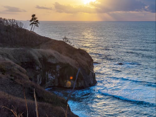 ゲストの情報は後日更新します！