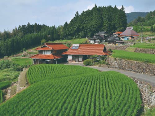 石州瓦の赤い屋根が特徴的な山口の里山風景