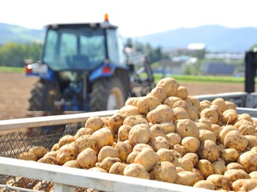 農業×観光の体験型や滞在型など検討材料はたくさんあります。