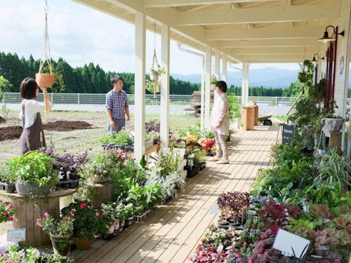 直売所風の丘ガーデン