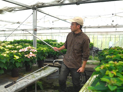 ハウス内で水やりをする澁田さん