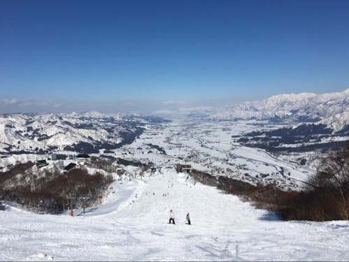 雪山はやはり湯沢町の最大の観光資源です