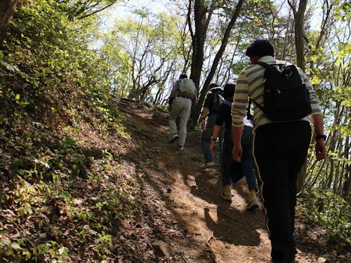 「日本国」登山
