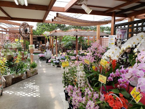 併設する花き販売所