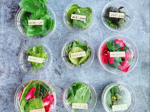 野草を使った納豆の実験室