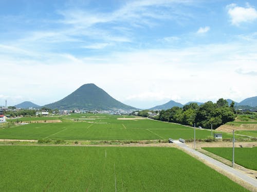 のどかな田園風景(飯野山)