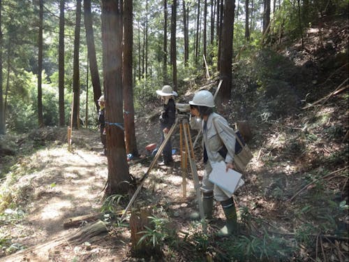 業務風景(林業職)