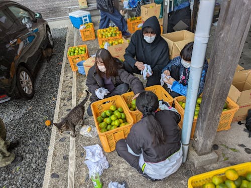 県内外の大学生が参加してくれました!