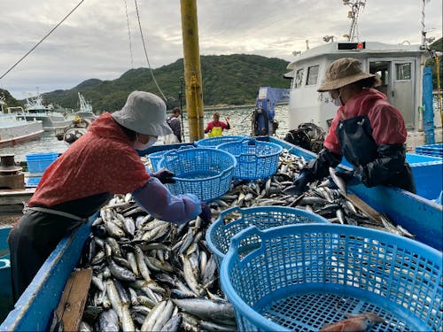 漁業の風景
