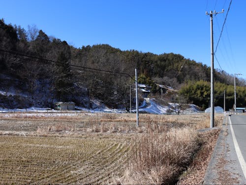 ほのぼのとした田園風景が広がる地域です