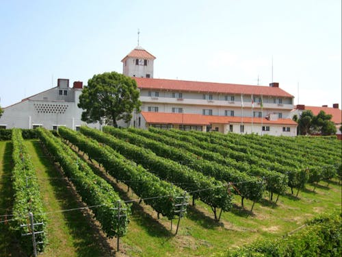 神戸ワイナリーです。