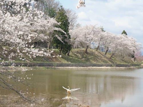 三郎堤(花巻市)