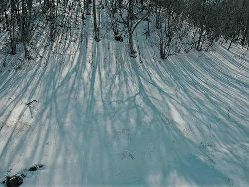 冬はまた違った、凛とした景色が広がります。