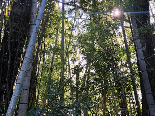 都於郡は、市街地から離れた自然豊かな土地です◎