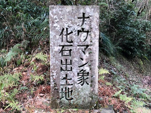 都於郡城跡の麓にひっそり隠れている石碑