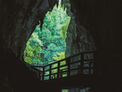 日本屈指の大鍾乳洞「秋芳洞」