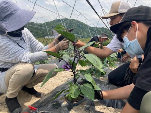 先生に学んだポイントを、見て触って確かめる