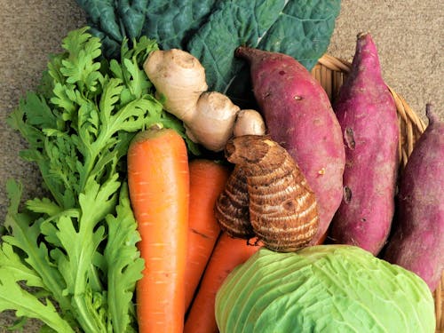 秋にはプロ品質の野菜をつくる自信が芽生えます！