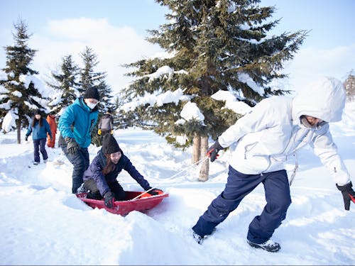 冬の観光コンテンツを一緒に考えたりします