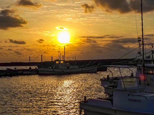 萩漁港に水揚げされる地物魚介類は約250種!