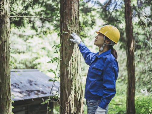 地域ならではの仕事もご紹介!
