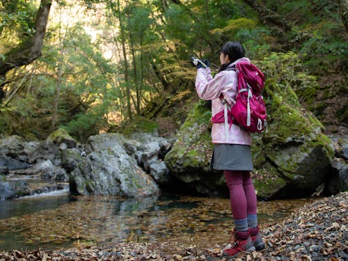 「吉野川紀の川源流-水源地の森」