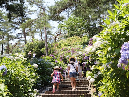 季節を感じ放題