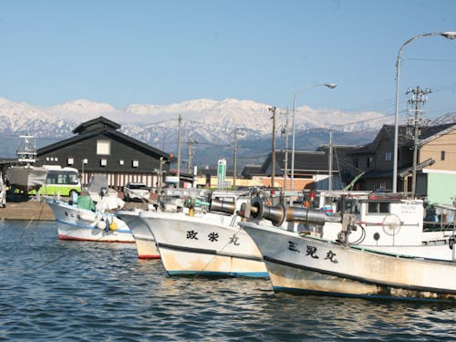 地おこ卒業後、漁師になった人もいます♪