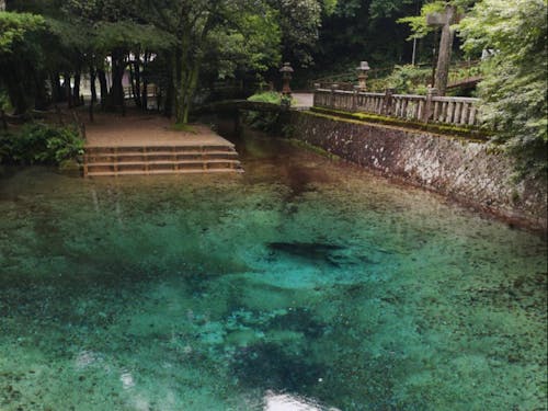 不思議なほど美しい透き通ったブルーの水の弁天池