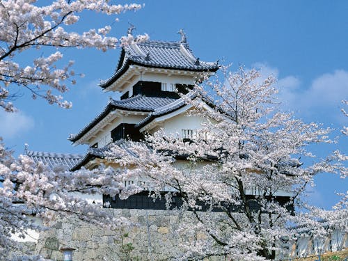 小峰城をはじめ、白河は歴史が今も残るまちです。