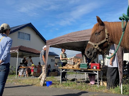 町のイベント以外にも小さな町民主催のイベントもたびたび開催されます。