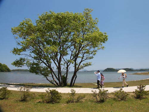日本一大きな池といわれる湖山池までは車で20分弱!近くに温泉街も♨