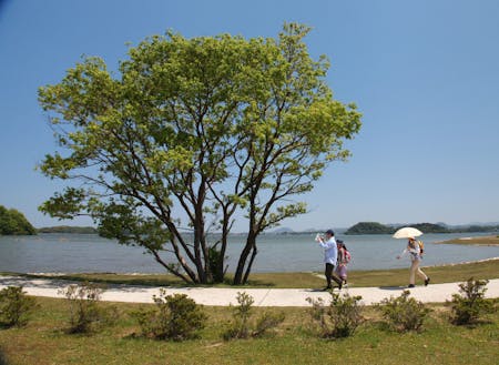 日本一大きな池といわれる湖山池までは車で20分弱！近くに温泉街も♨