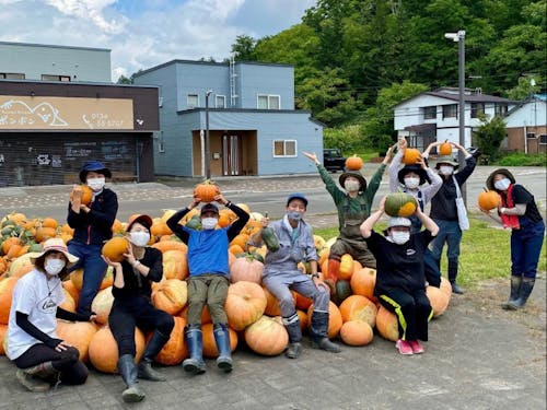 ニセコの秋といえば、毎年恒例のハロウィンカボチャ！