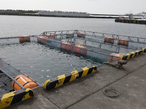 様々な分野で協力隊が活躍しています!