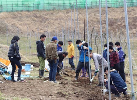 「海の見えるりんご畑」の再生を目指しての市民参加型の植樹会