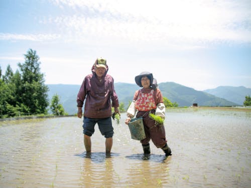 大自然での暮らしは大変だけど、生きている実感はこの上ない