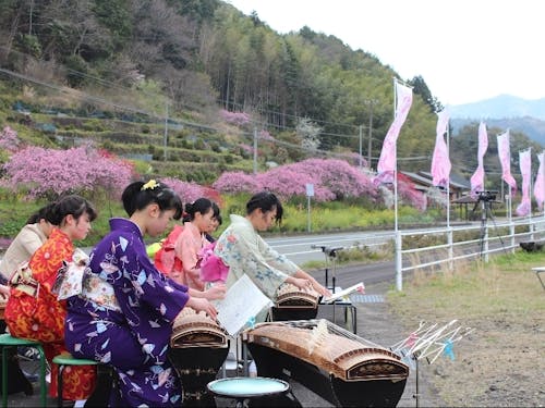 桃源郷の里づくり「桃まつり」