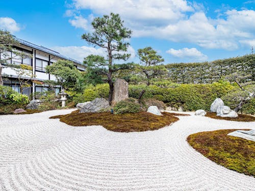 枯山水式の美しい中庭