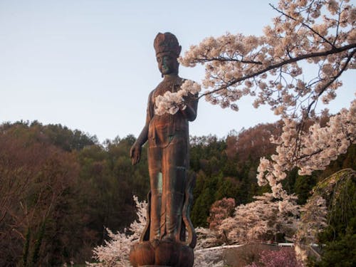 山ノ内町のシンボル平和観音像と桜