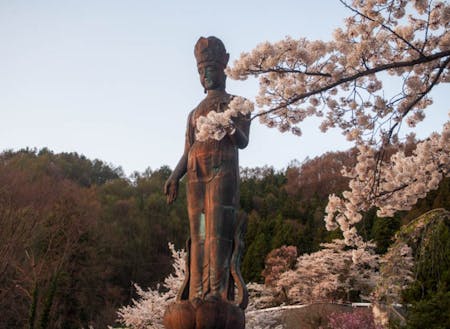 山ノ内町のシンボル平和観音像と桜